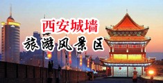岳黑乱伦中国陕西-西安城墙旅游风景区